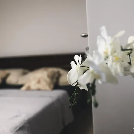 Annabella Apartmanhaz Appartement *