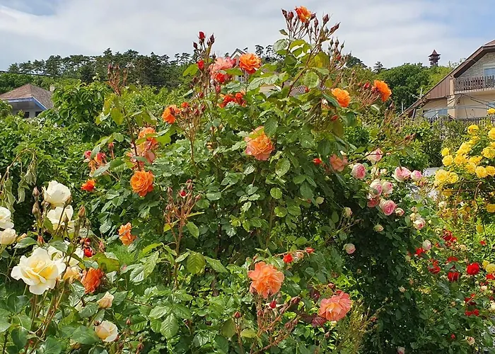 Annabella Apartmanhaz Apartment *